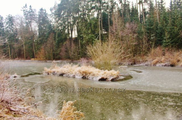 Lukavice - horní část Záhořského rybníku