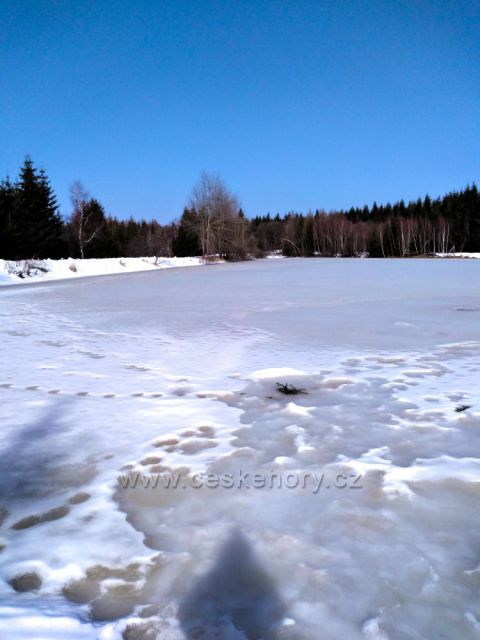 Zamrzlý rudolický rybník