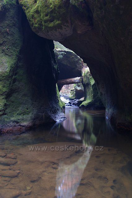 Křinice u jeskyně Vinný sklep.