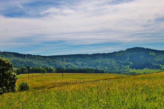 Pastviny nad Neratovem