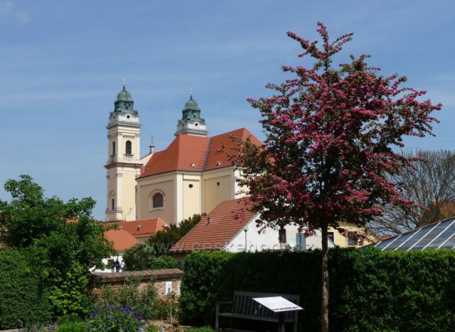 Bylinná zahrada a kostel Nanebevzetí P. Marie - Valtice