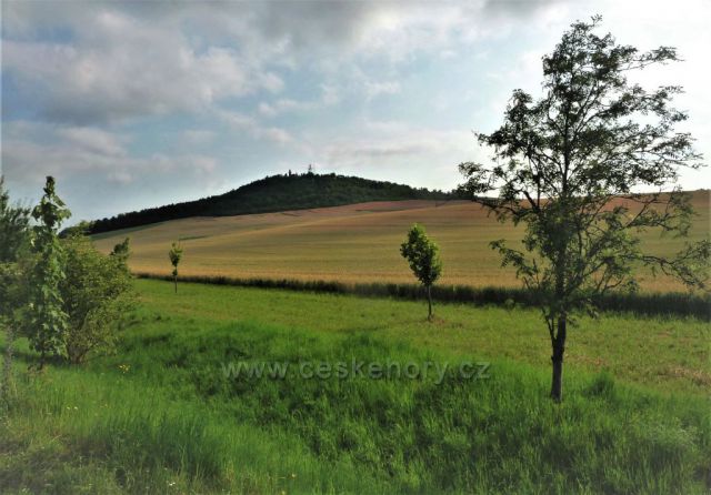 Cesta k rozhledně Stříbrník
(u Loun)