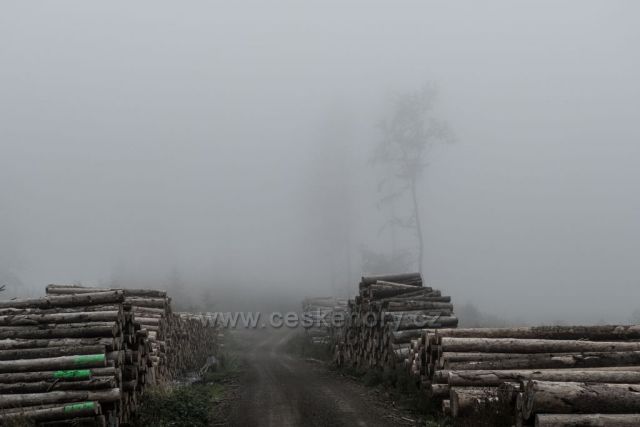 pohromu v lese kryje mlha...
