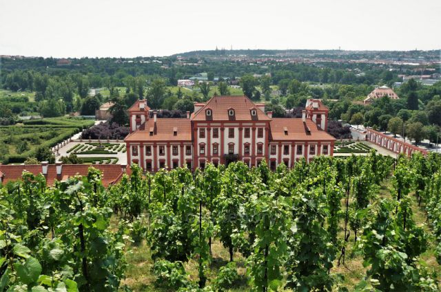 Kaple a vinice sv. Kláry s výhledem na Trojský zámek