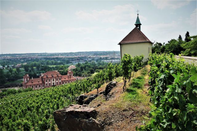 Kaple a vinice sv. Kláry
(s výhledem na Trojský zámek)