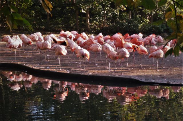 Toulky podzimní ZOO
(Praha - Troja)