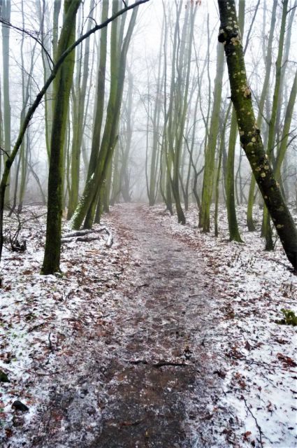 Dýmající vrch Boreč – místo, které nikdy nezamrzá