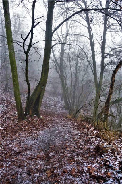 Dýmající vrch Boreč – místo, které nikdy nezamrzá