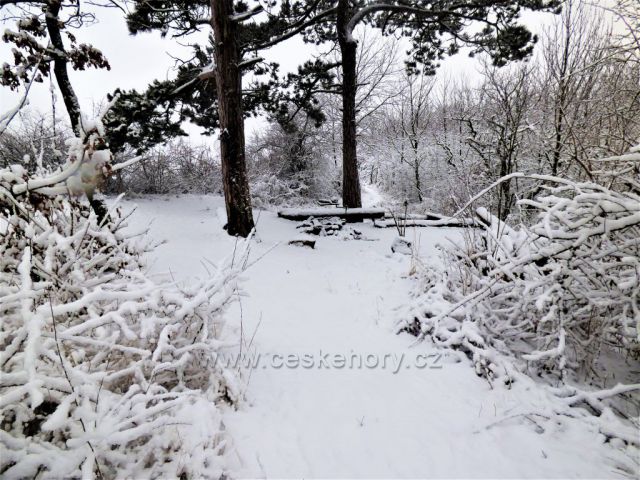 Tábořiště na vrcholu Kaňkova