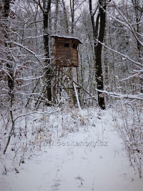 Cesta z Kaňkova