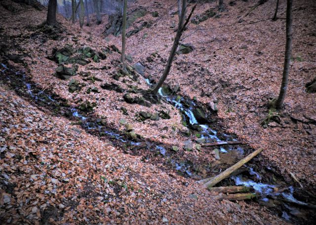 Nutnost přebrodit potoky
z Podkrušnohorských bučin
(Osek)