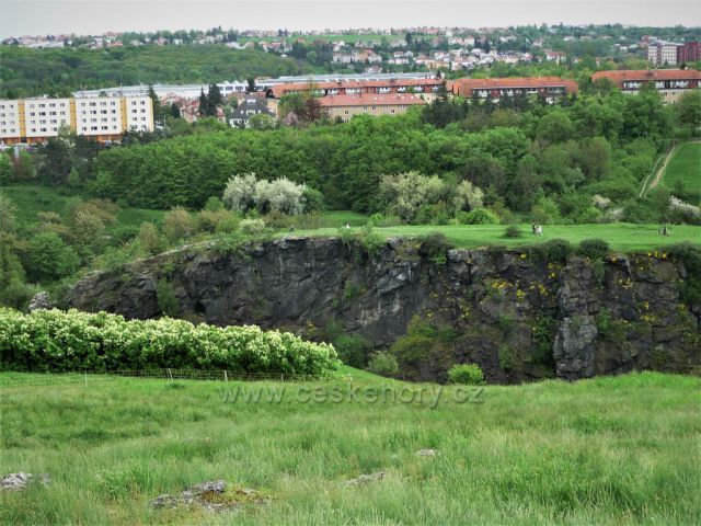 Divoká Šárka na jaře