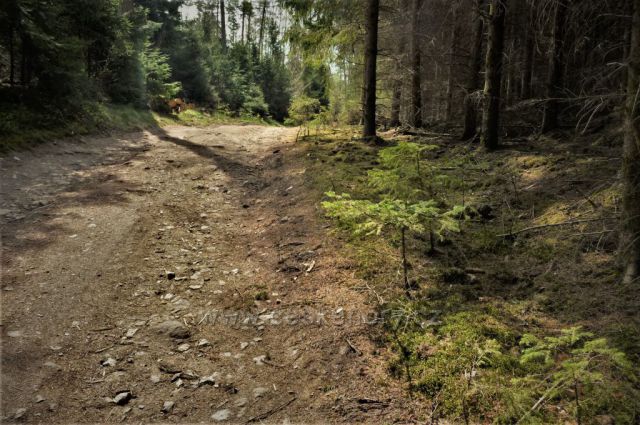 Turistická trasa ze Světlé nad Sázavou do Lipnice nad Sázavou