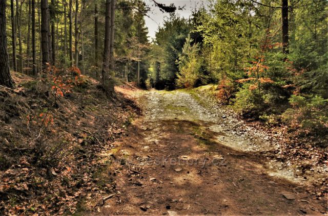 Turistická trasa ze Světlé nad Sázavou do Lipnice nad Sázavou