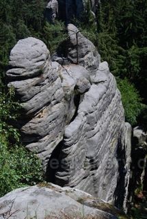 Velbloud
Prachovske skaly