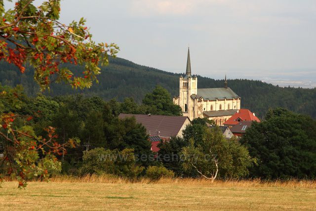 Výhled na kostel sv. Václava