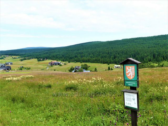 Jizerské hory - Přírodní rezervace Bukovec.