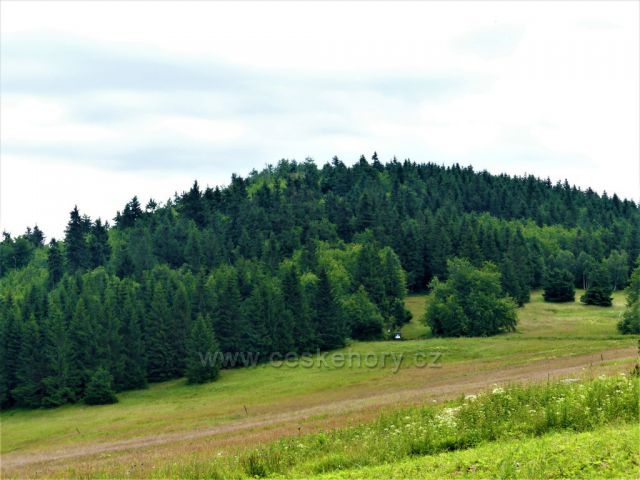 Jizerské hory - Bukovec 1005 m.n.m.