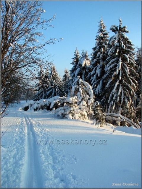 Typický tvar vrchu Kozákova také poskytuje četné vyžití milovníkům zimních sportů