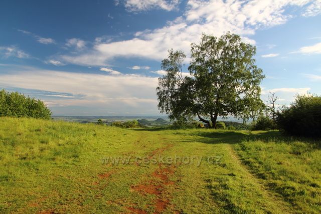 Bříza nad Červeným Újezdem