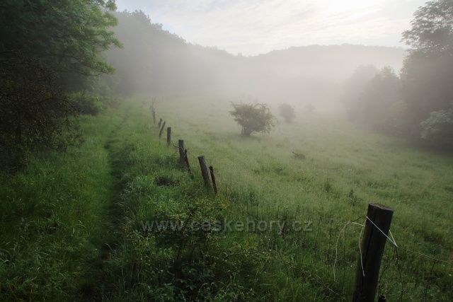 Pod Kaňkovem