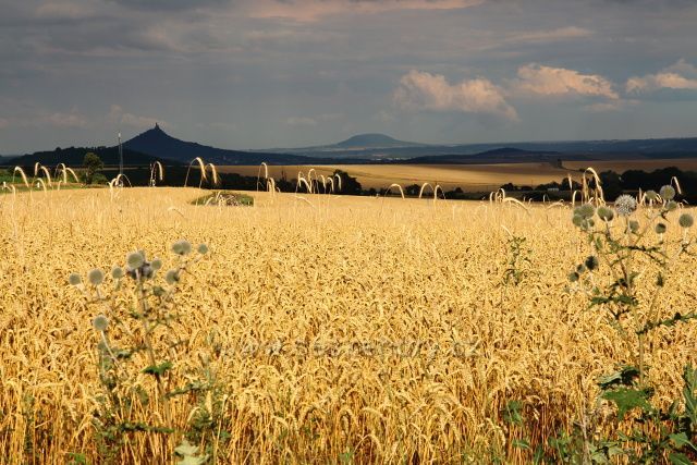 Házmburk a Říp