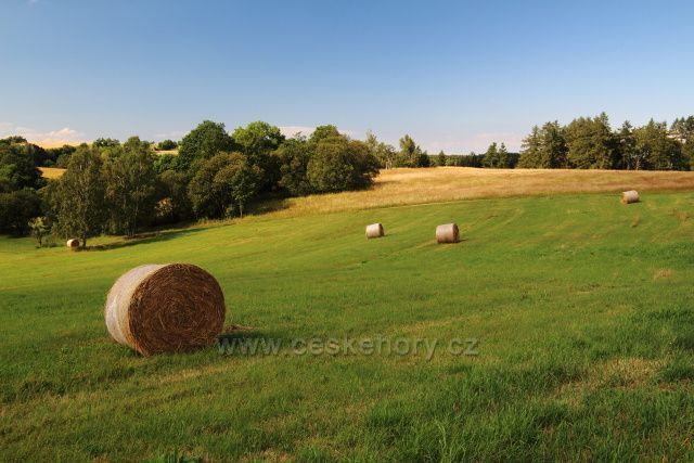 Za Špičákem