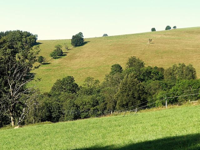 Vrchní Orlice - pohled na hřeben vrchu Polom