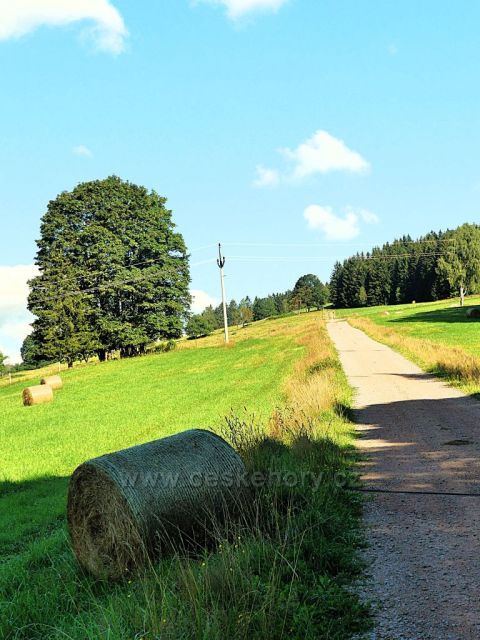 Vrchní Orlice - Cesta na Vysoký kořen