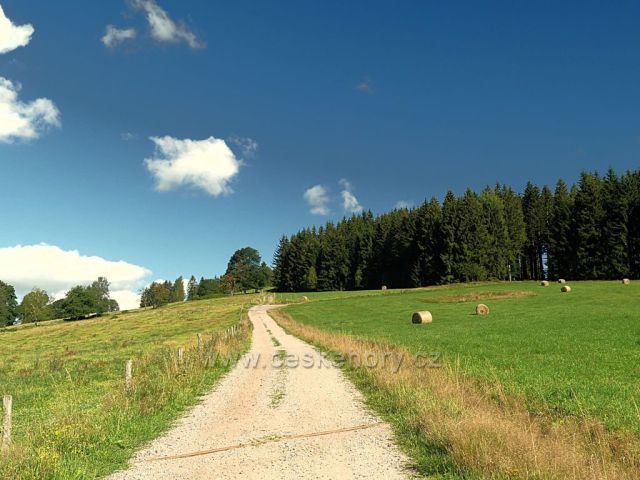 Vrchní Orlice - cesta na Vysoký kořen