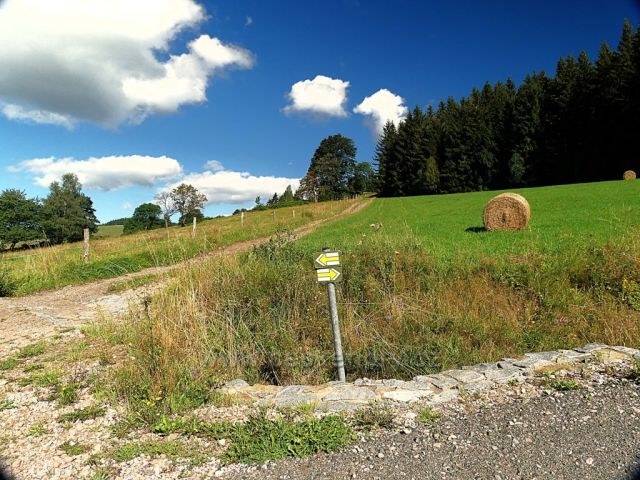 Vrchní Orlice - rozcestí na žluté TZ