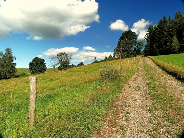 Vrchní Orlice - cesta na Vysoký kořen