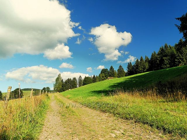 Vrchní Orlice - cesta p pastvinách