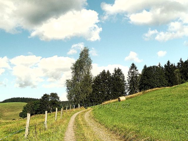 Vrchní Orlice - cesta po žluté TZ na Vysoký kořen