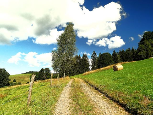 Vrchní Orlice . cesta na Vysoký kořen