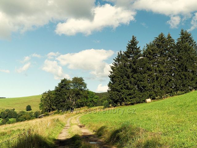 Vrchní Orlice -cesta na Vysoký kořen