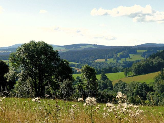 Vrchní Orlice - pohled k údolí Tiché Orlice