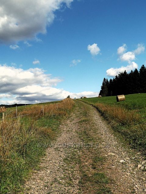 Vrchní Orlice - cesta na Vysoký kořen