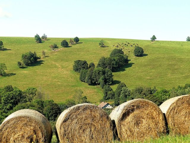 Vrchní Orlice -pohled na hřeben Polomu