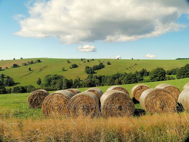 Vrchní Orlice -pohled na hřeben Polomu