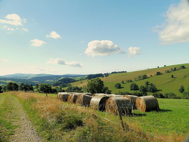 Vrchní Orlice -pastviny podél cesty na Vysoký kořen