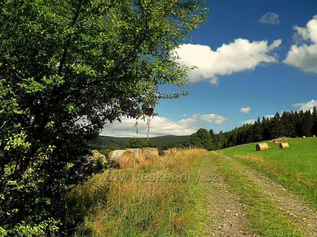 Vrchní Orlice -cesta na Vysoký kořen