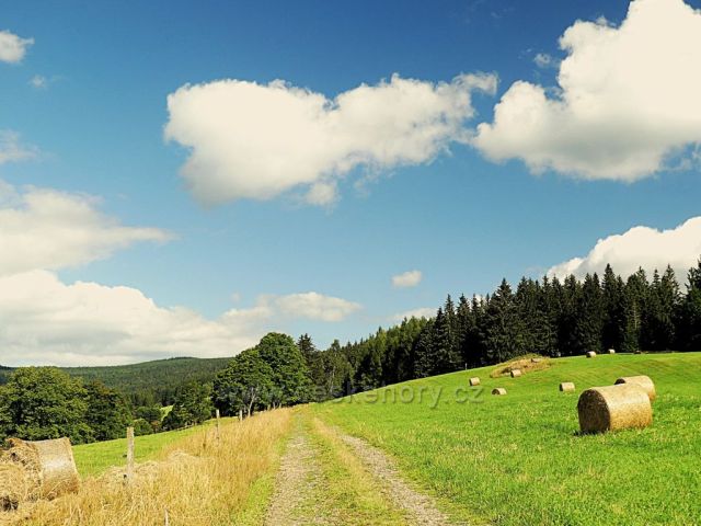 Vrchní Orlice - cesta na Vysoký kořen