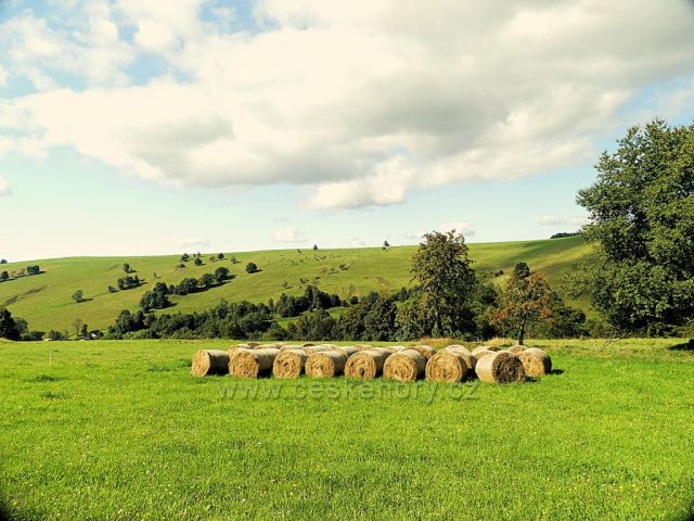 Vrchní Orlice - pohled na hřeben vrchu Polom