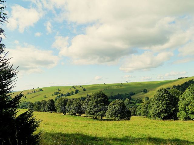 Vrchní Orlice - pohled na hřeben vrchu Polom