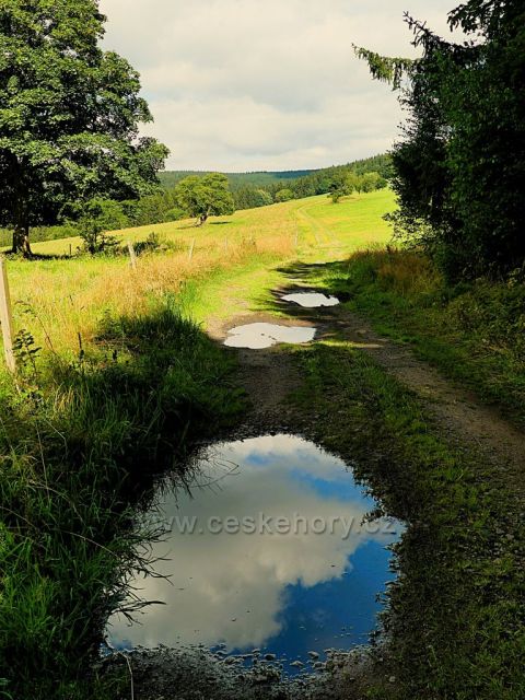 Vrchní Orlice - cesta na Vysoký kořen