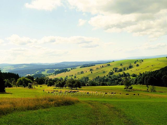 Vrchní Orlice - pohled do údolí potoku Hadinec.