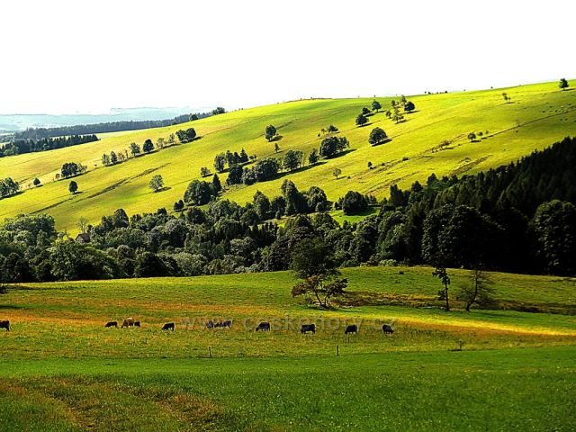 Vrchní Orlice - pohled k pastvinám na úbočí vrchu Polom