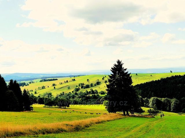 Vrchní Orlice - pastviny pod Vysokým kořenem