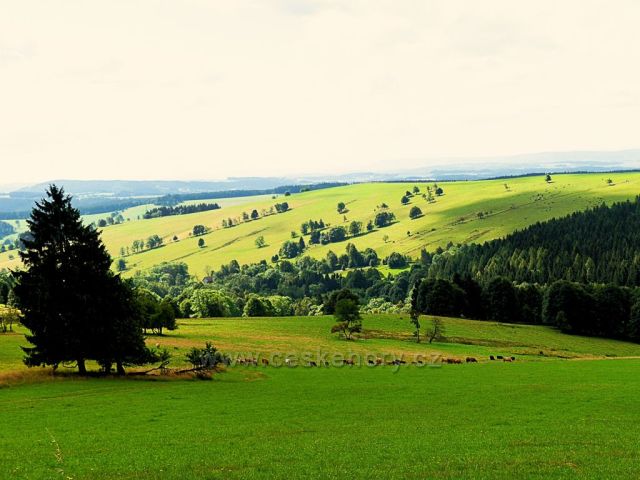 Vrchní Orlice - pohled na pastviny pod Vysokým kořenem